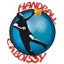 CA BOISSY HANDBALL